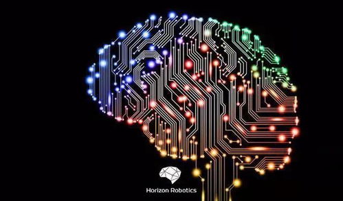 地平線背后 國(guó)內(nèi)車企競(jìng)逐國(guó)產(chǎn)芯，人工智能應(yīng)用軟件開發(fā)成新藍(lán)海